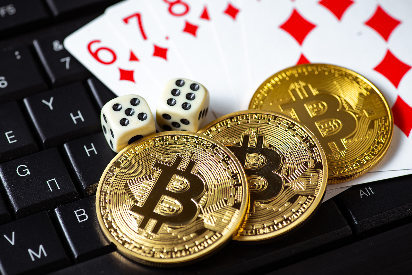 Bitcoin Accepted / Discount Included!